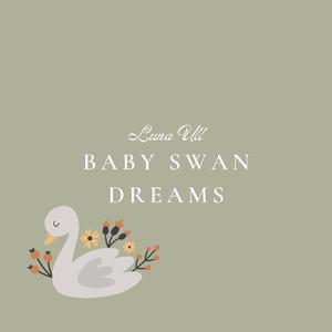 怡红院在线观看
