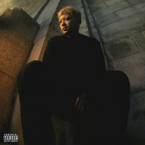 怡红院在线观看
