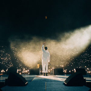 怡红院在线观看
