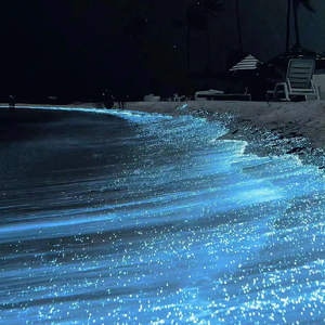 怡红院在线观看
