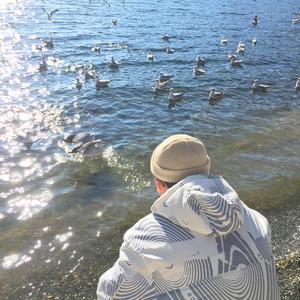 怡红院在线观看
